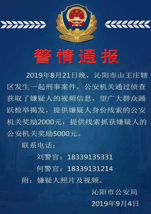 刑事案件爆料视频大全,刑事案件爆料视频大盘点
